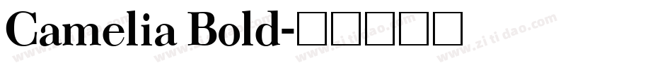 Camelia Bold字体转换